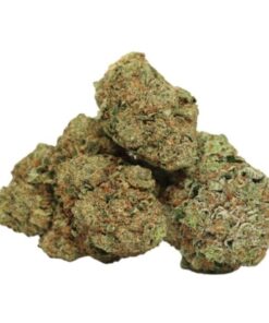 Critical Kush