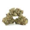 Gorilla Glue Nr. 4