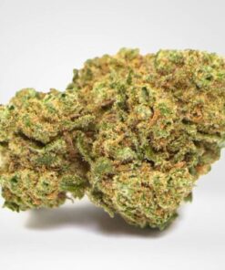 Amnesia Haze